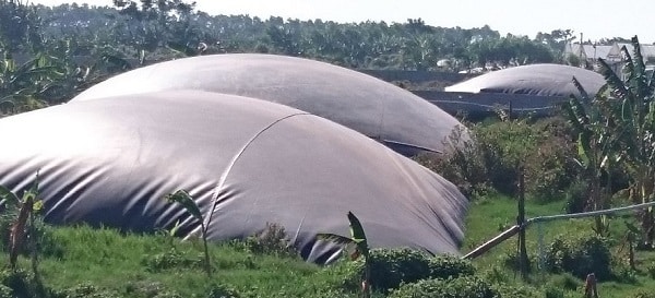 Hầm biogas HDPE: Những điều có thể bạn chưa biết
